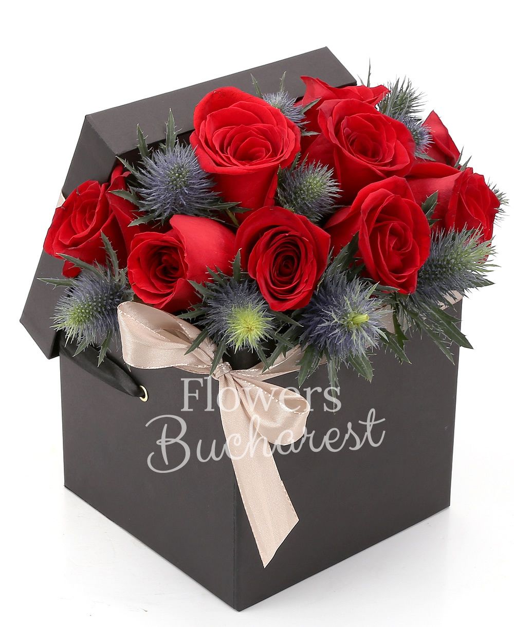 10 red roses, 5 blue eryngium