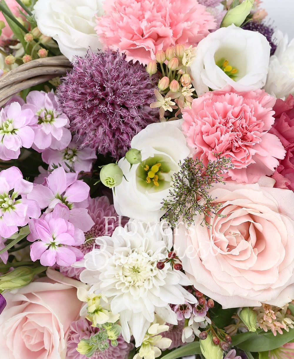 5 matthiola, 5 roses, 5 pink santini, 7 pink carnations, 5 mauve trachelium, 5 pink hypericum, 3 pink lisianthus, white lily, greenery