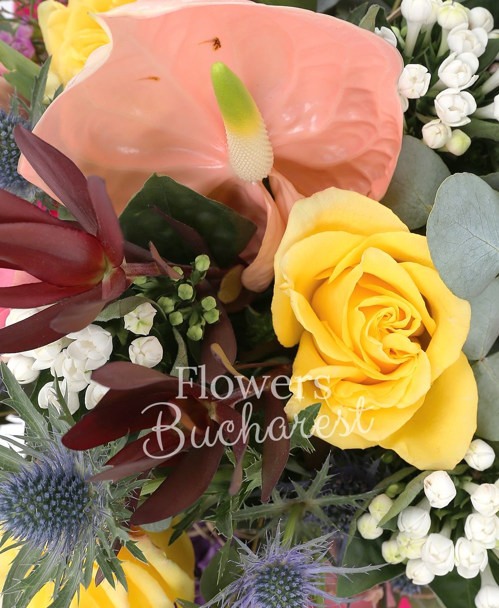 1 pink anthurium, 3 yellow roses, 3 pink roses, 3 eryngium, 2 leucadendron, 3 white bouvardia, 5 red tulips, greenery