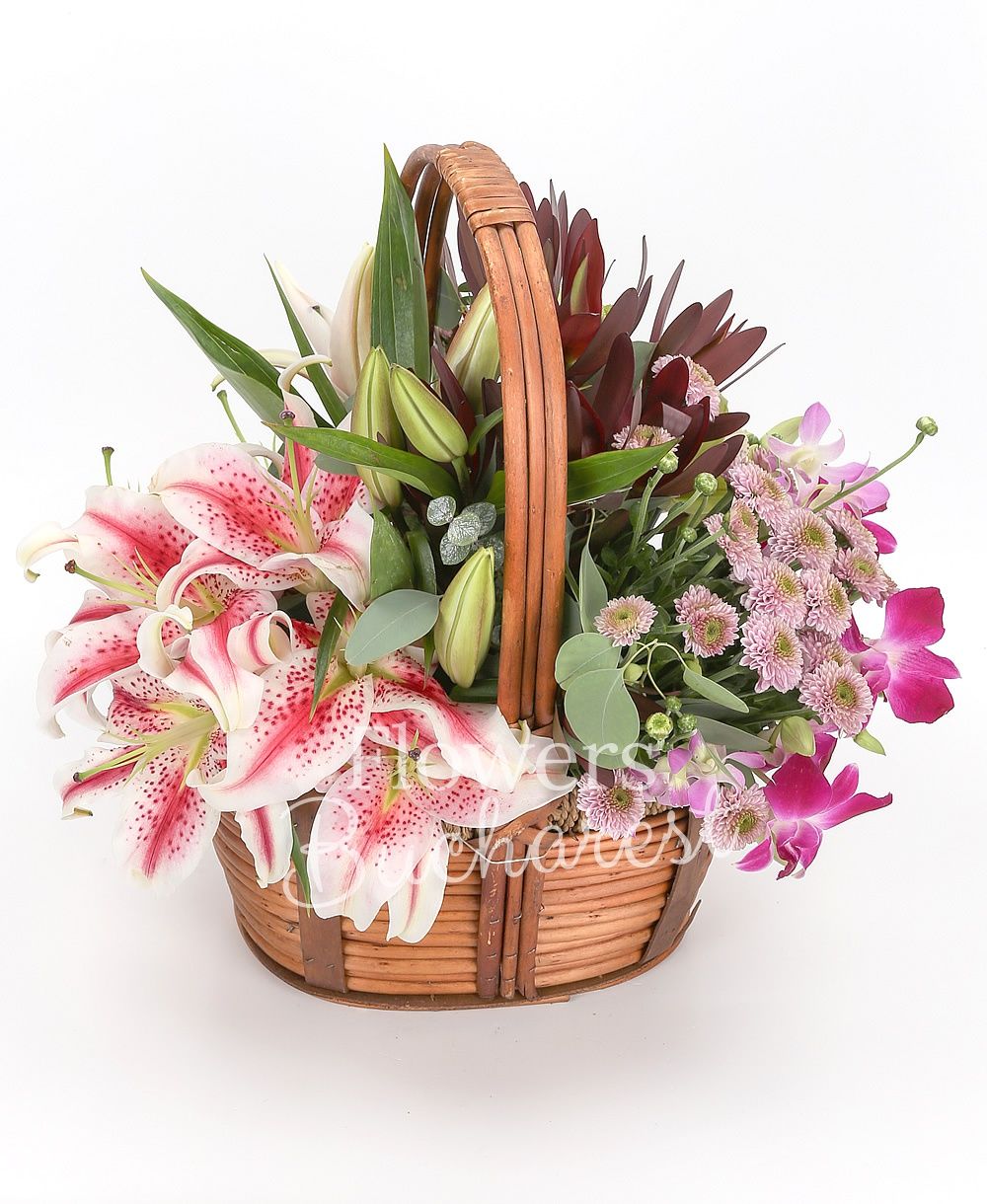 3 pink lilies, 5 pink santini, 5 leucadendron, green cymbidium, 4 mauve dendrobium, greenery