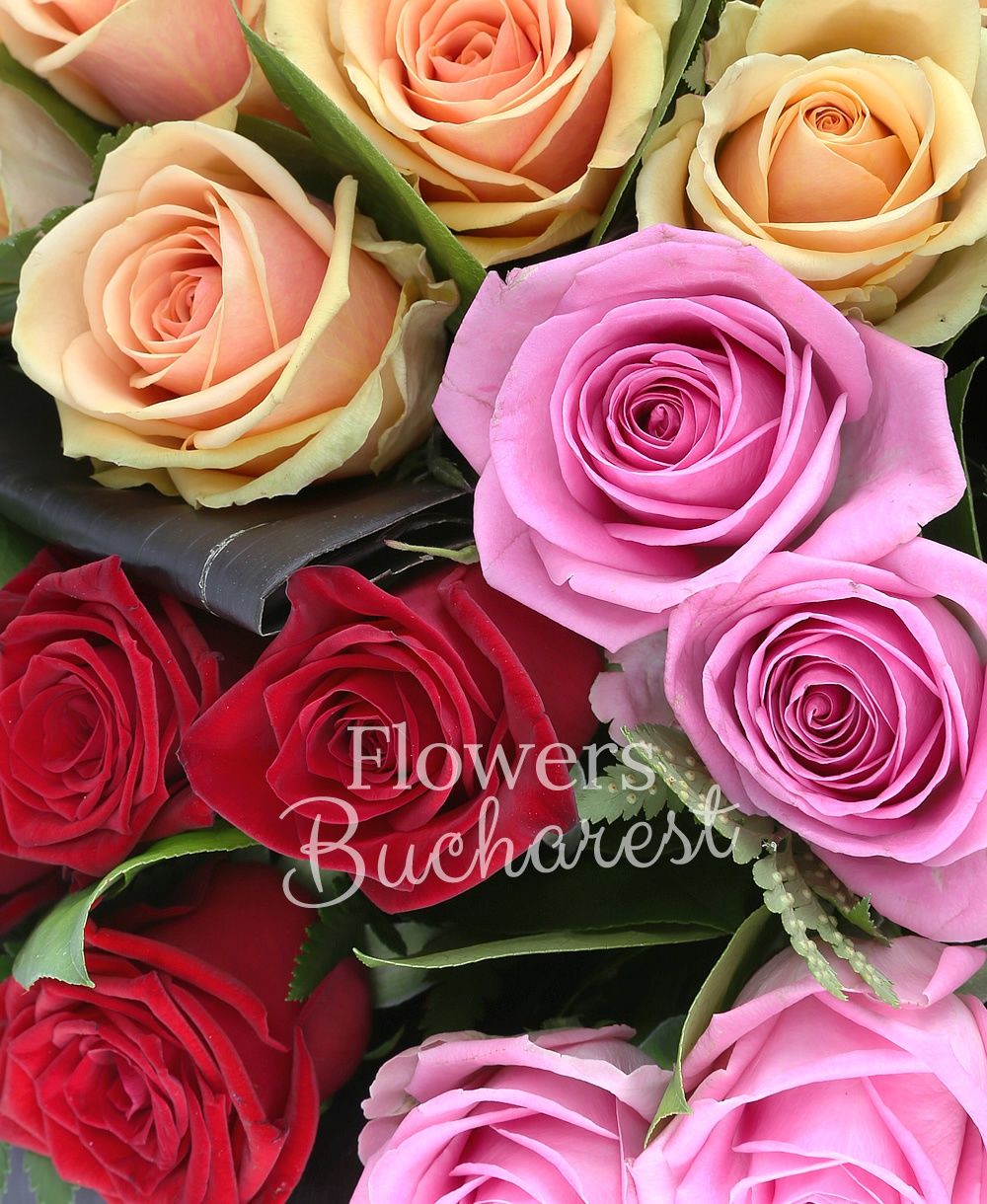 9 red roses, 9 pink roses, 9 banana yellow roses, greenery