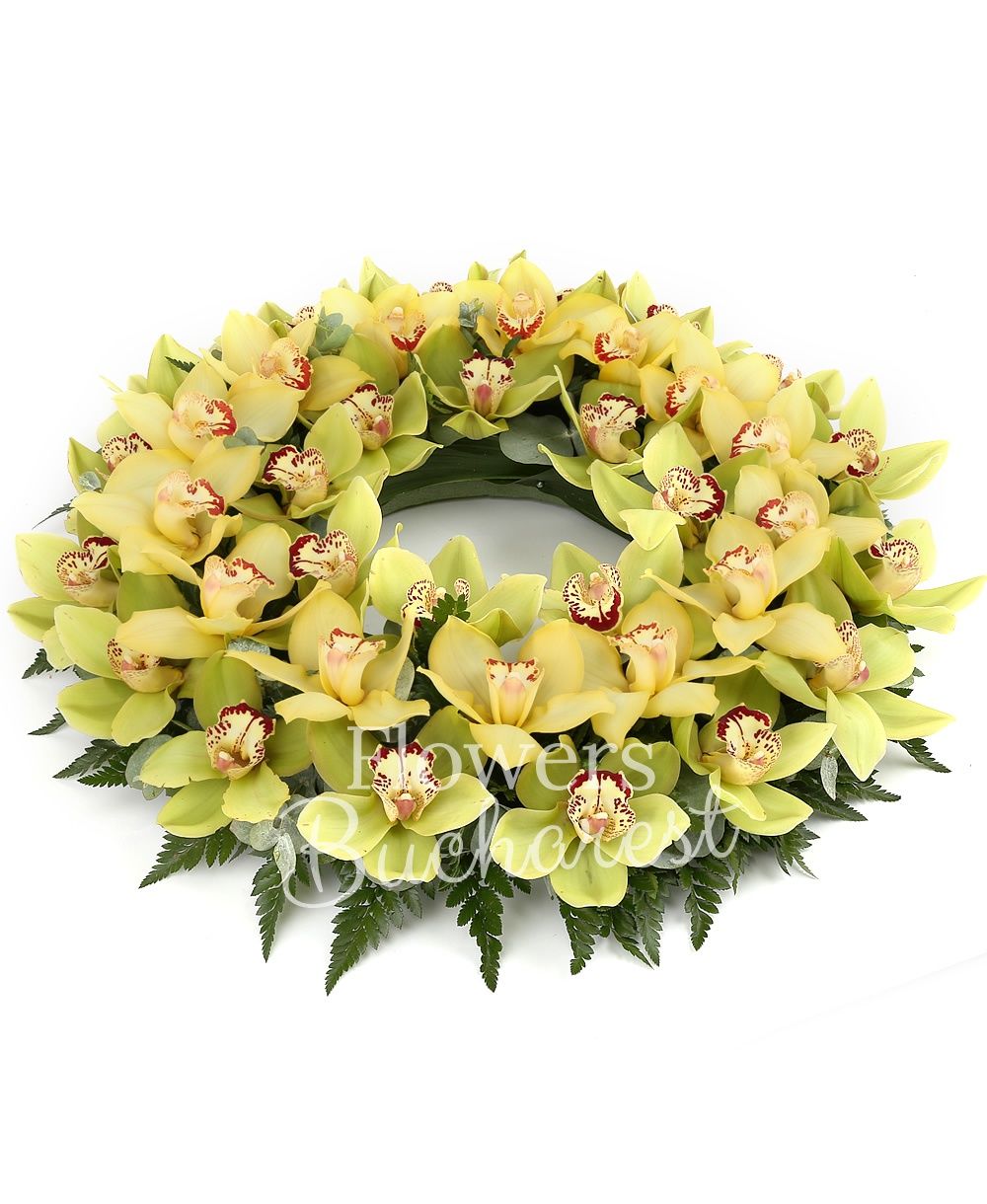 yellow cymbidium, green cymbidium, greenery