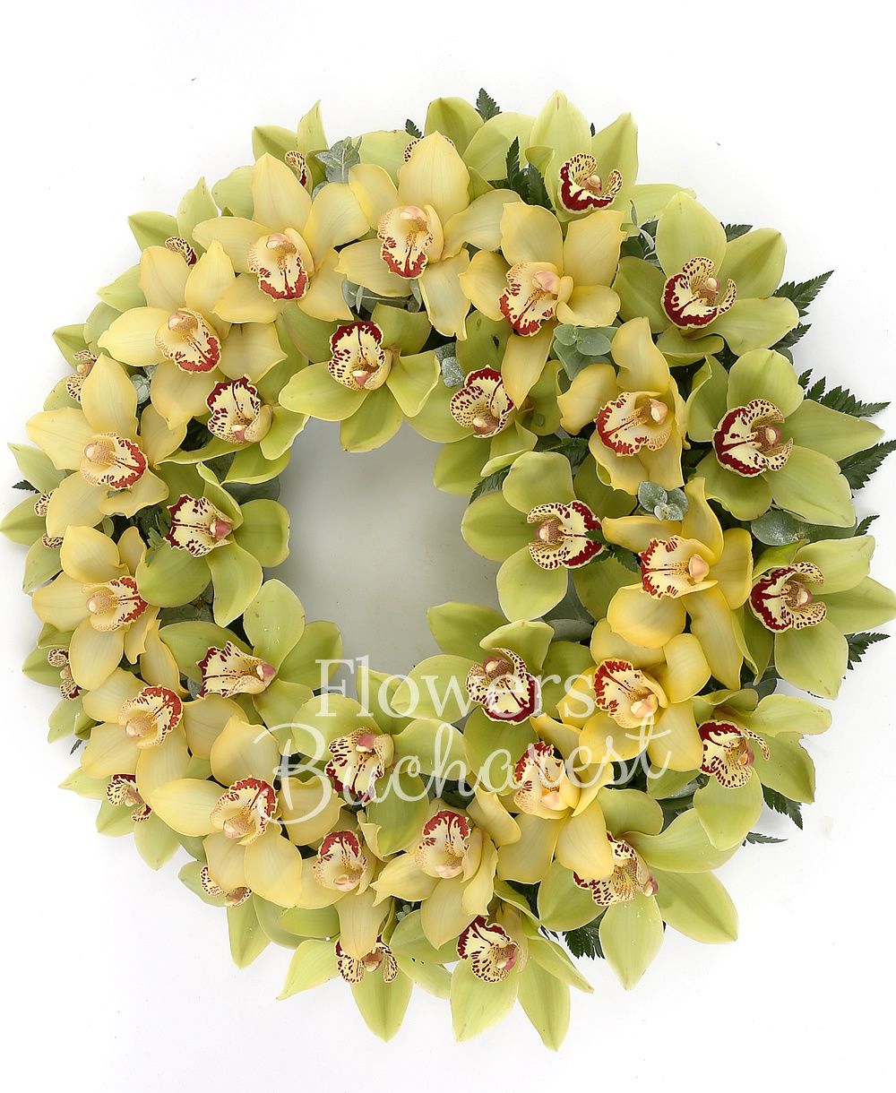 yellow cymbidium, green cymbidium, greenery