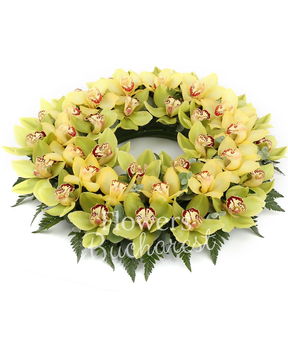 yellow cymbidium, green cymbidium, greenery