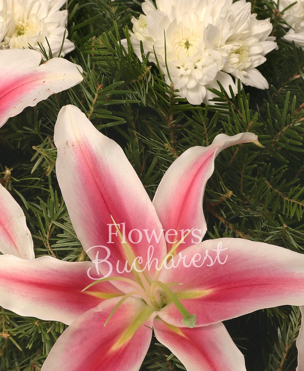 white chrysanthemums, pink lilies