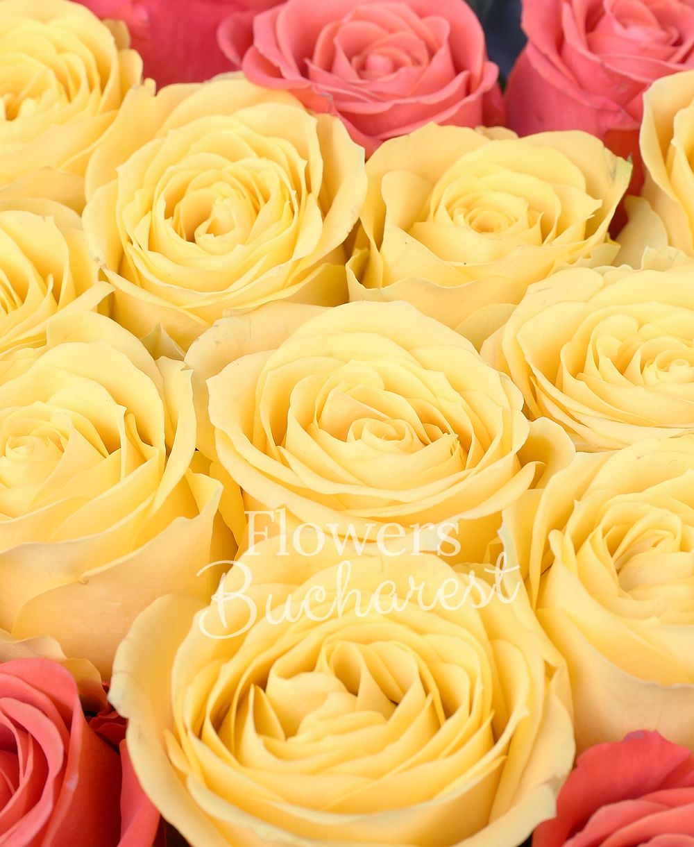 15 orange roses, 10 yellow roses, greenery