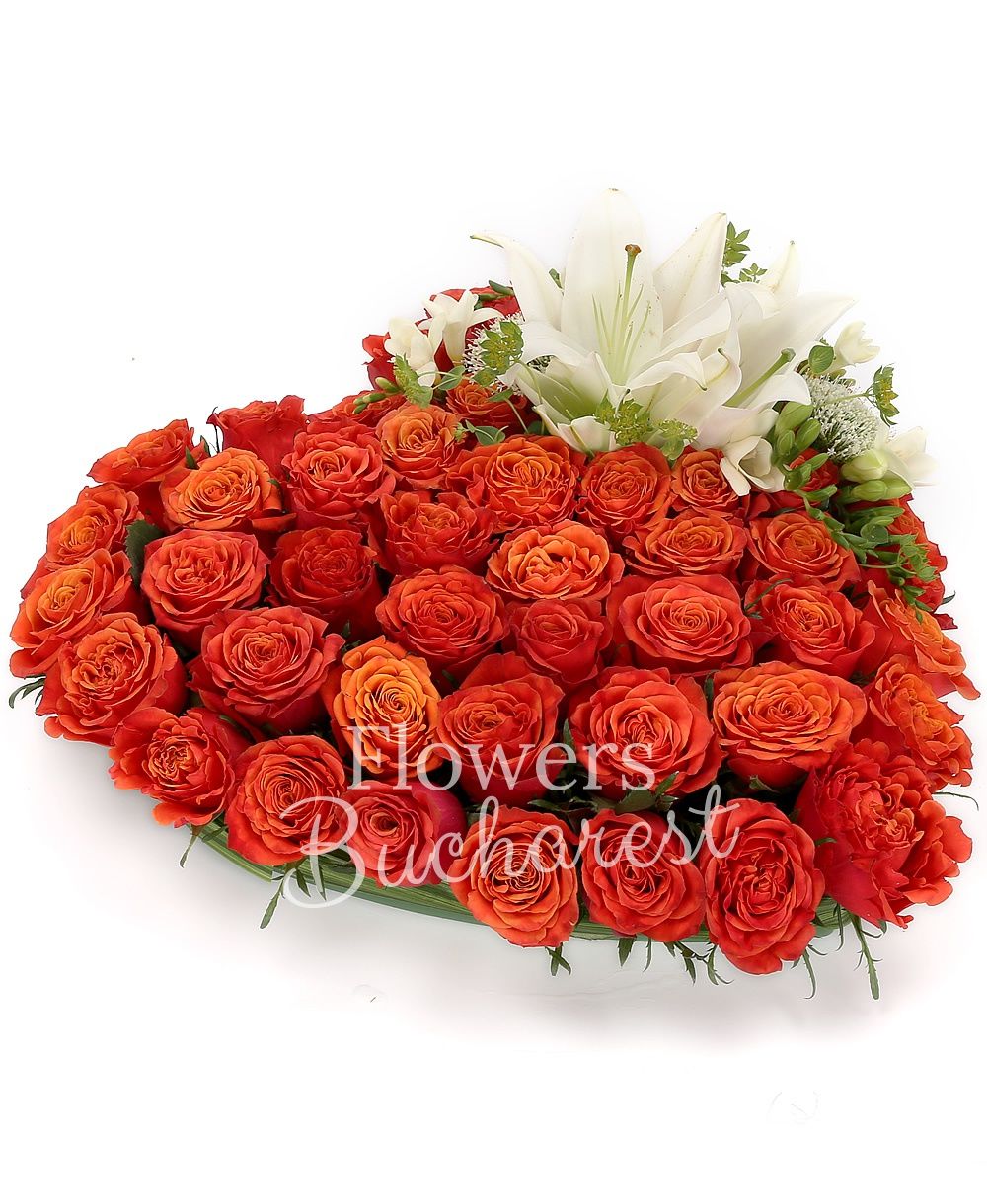 50 orange roses, 1 white lily, 5 white freesias, 2 mauve trachelium, greenery