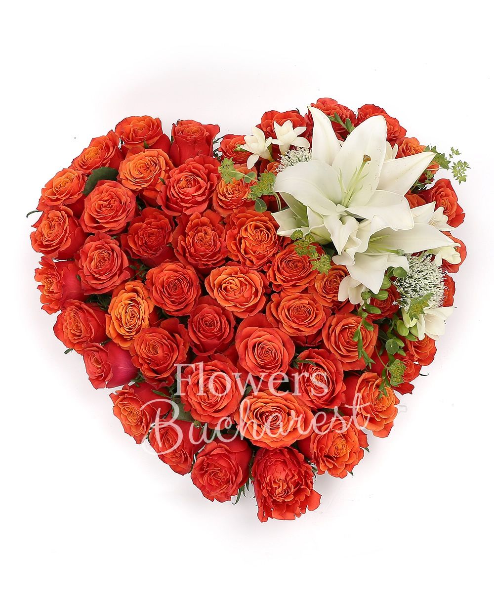 50 orange roses, 1 white lily, 5 white freesias, 2 mauve trachelium, greenery