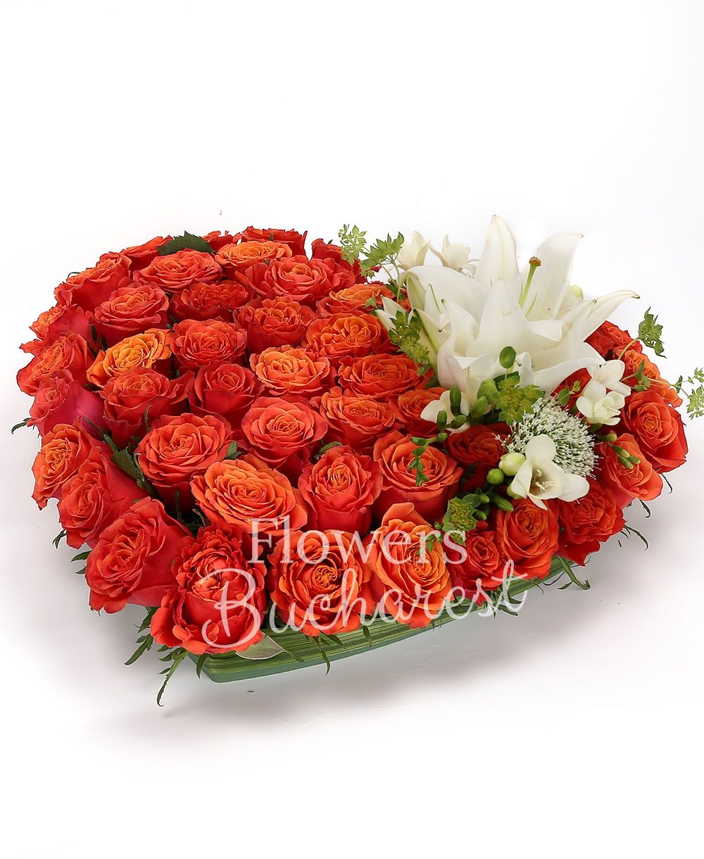 50 orange roses, 1 white lily, 5 white freesias, 2 mauve trachelium, greenery