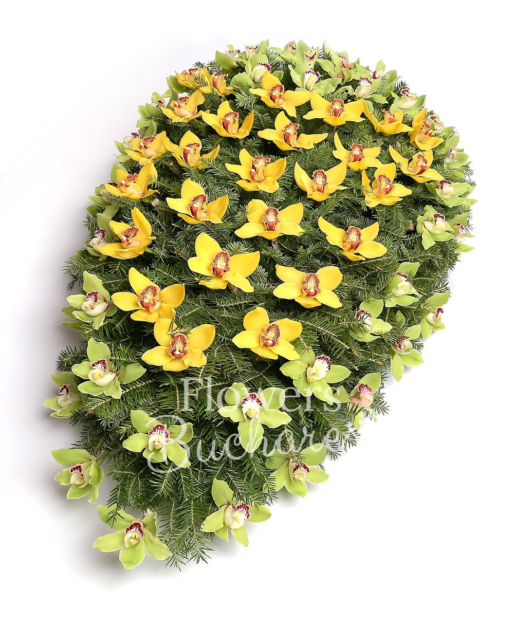 green cymbidium, yellow cymbidium, greenery