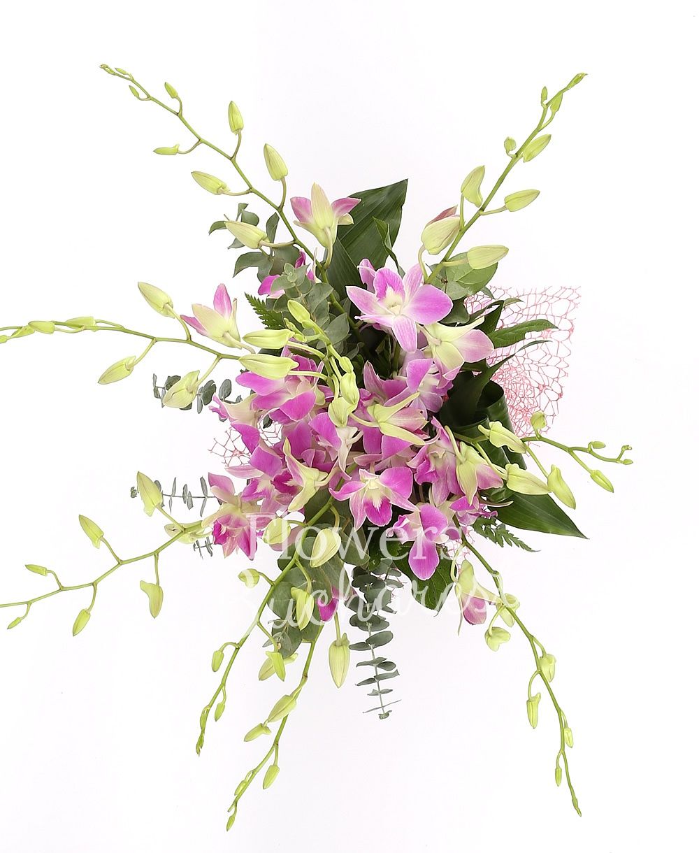 9 mauve orchids, greenery