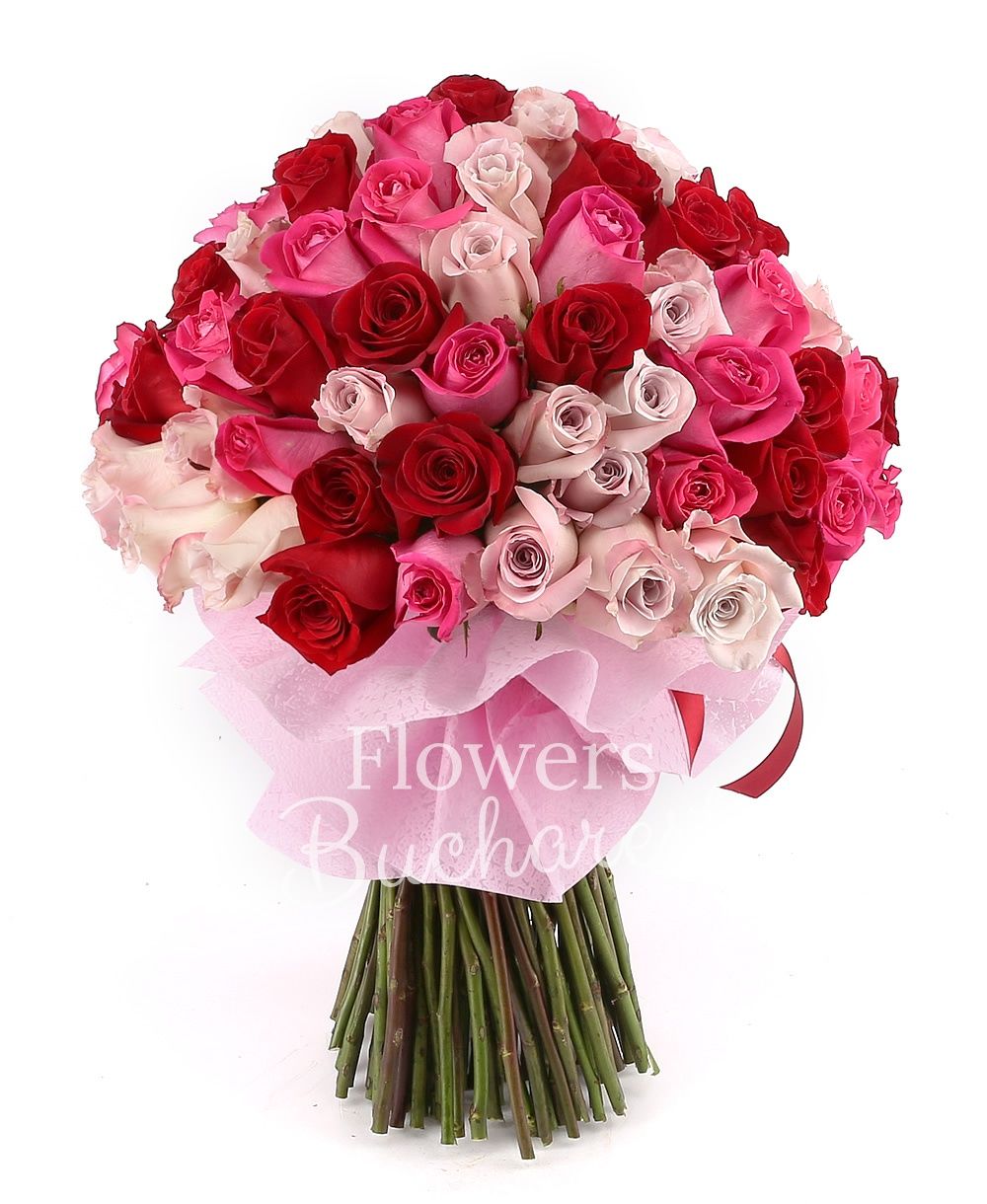 33 pink roses, 33 red roses, 33 cyclam roses