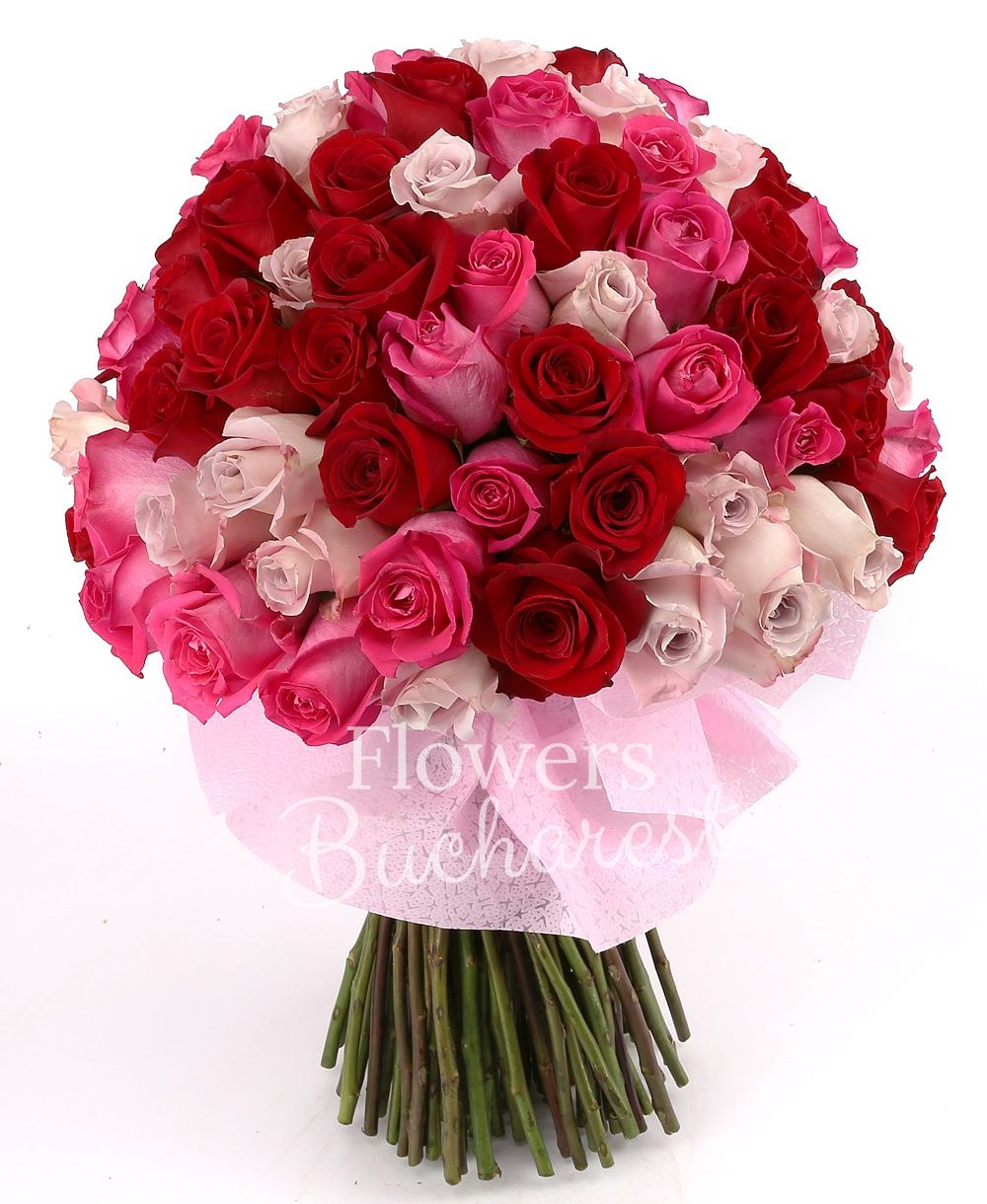 33 pink roses, 33 red roses, 33 cyclam roses