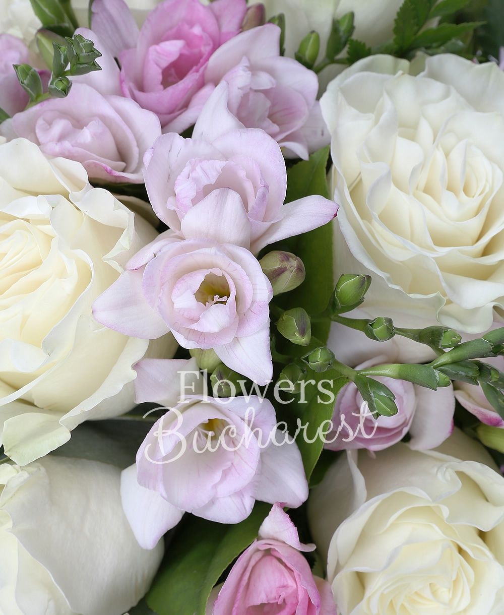 7 white roses, 20 pink freesias,greenery