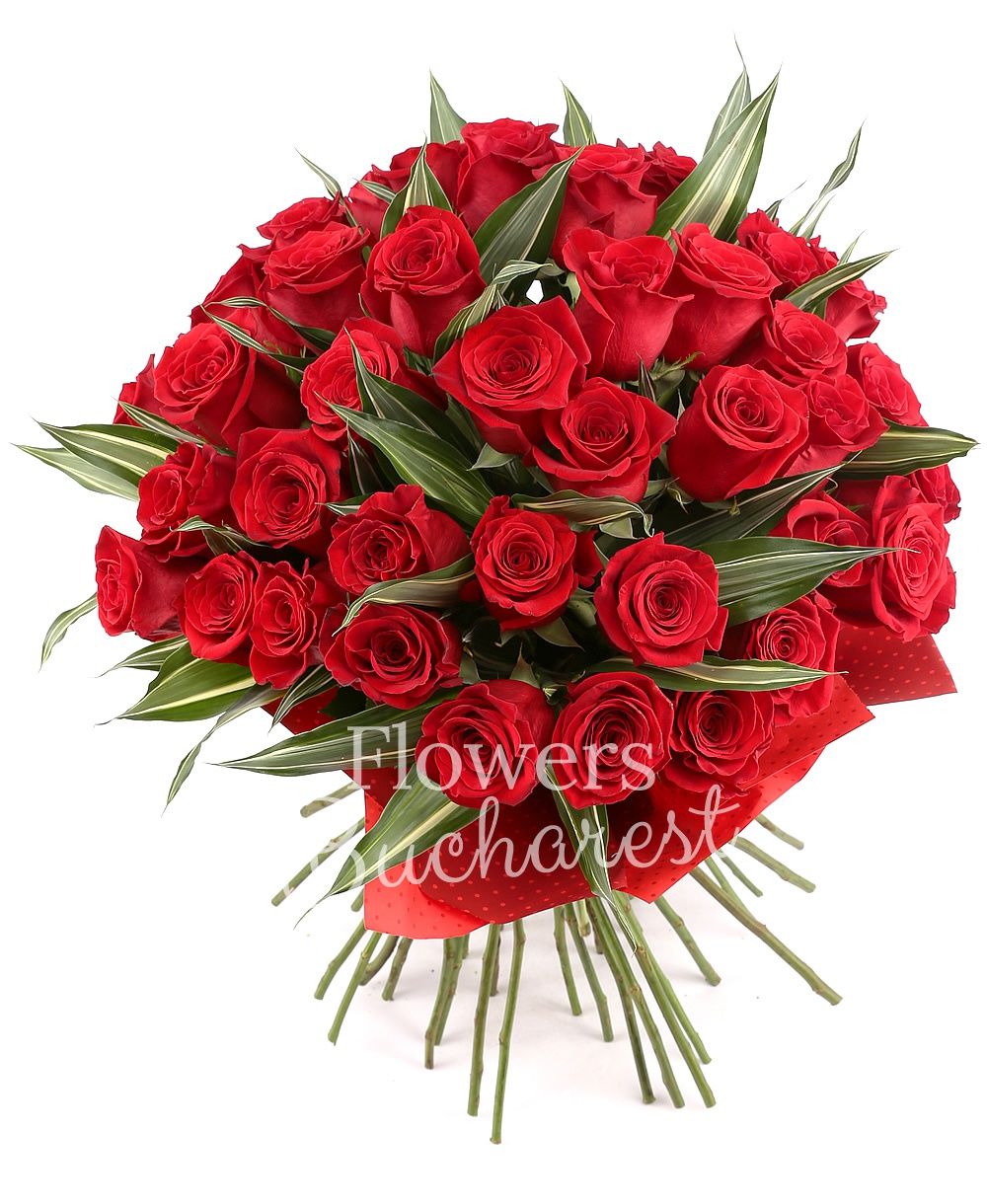 43 red roses, greenery