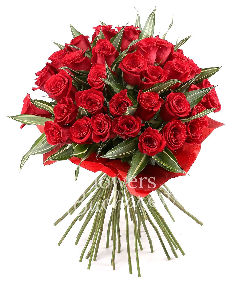 43 red roses, greenery