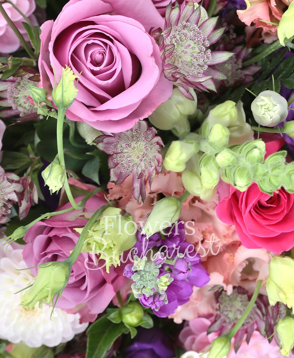 10 purple roses, 5 cyclam roses, 7 white anthurium , 5 purple matthiola, 7 purple astranția, 5 pink lisianthus, 5 purple lisianthus, 7 pink dahlias, greenery