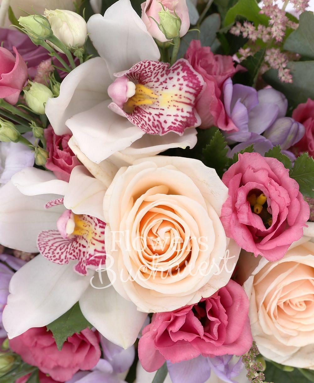 3 cream roses, 5 pink lisianthus, 3 purple roses, 5 pink astilbe, 5 purple freesias, white cymbidium, greenery