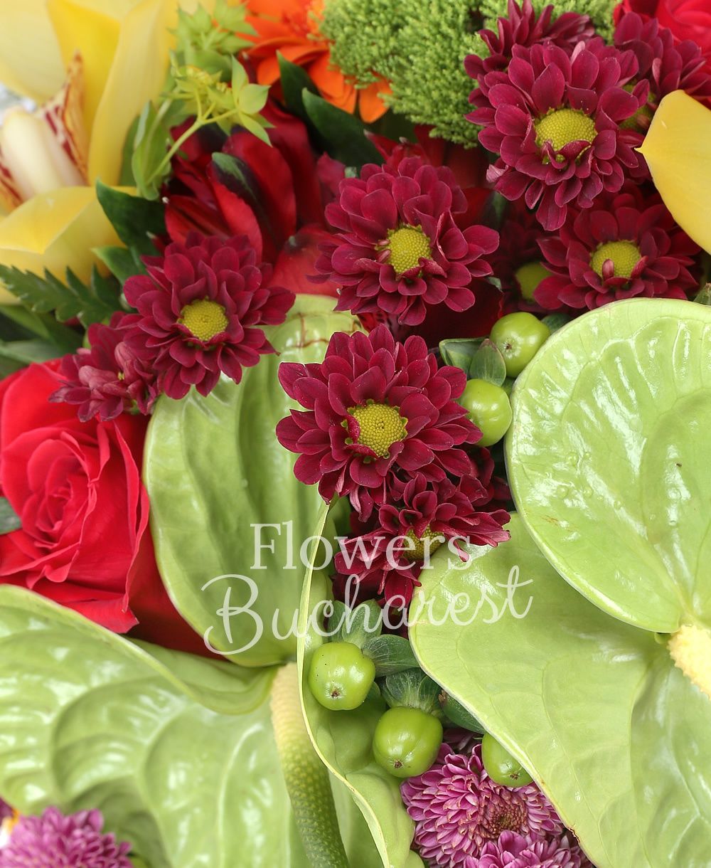 2 green anthurium, 3 red chrysanthemums, 5 pink santini, 5 red alstroemeria, 5 orange gerbera, 5 green hypericum, 3 green trachelium, 3 carnations, 5 red roses, cymbidium, greenery