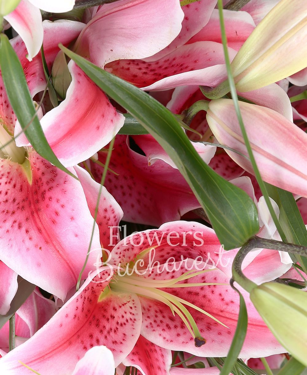 7 pink lilies, greenery