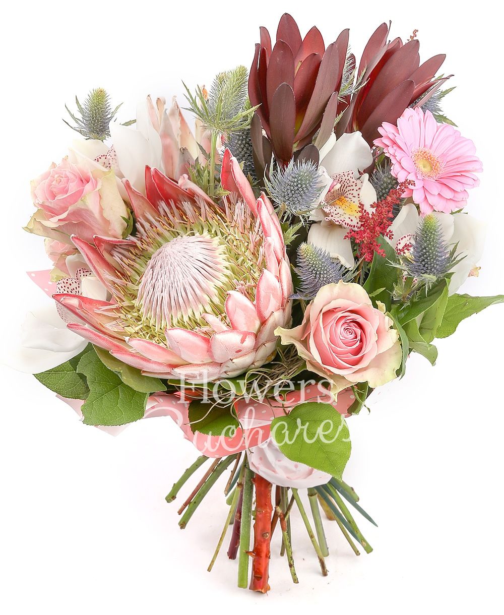 2 proteea, 2 leucadendron, 3 pink roses, 2 pink gerbera, white cymbidium, 2 eryngium, 2 garnet astilbe, greenery