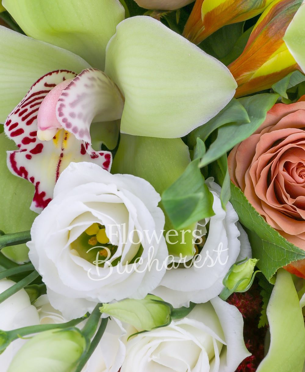 5 cappuccino roses, 5 white lisianthus, 5 yellow alstroemeria, green cymbidium, 5 garnet astilbe, greenery