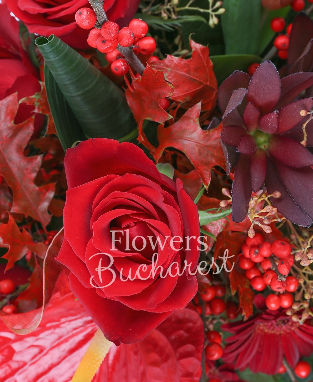 5 red roses, 3 leucadendrons, 5 red gerberas, 5 red tulips, 2 red anthurium, 3 ilex, greenery