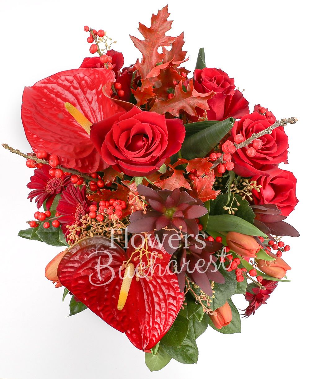 5 red roses, 3 leucadendrons, 5 red gerberas, 5 red tulips, 2 red anthurium, 3 ilex, greenery