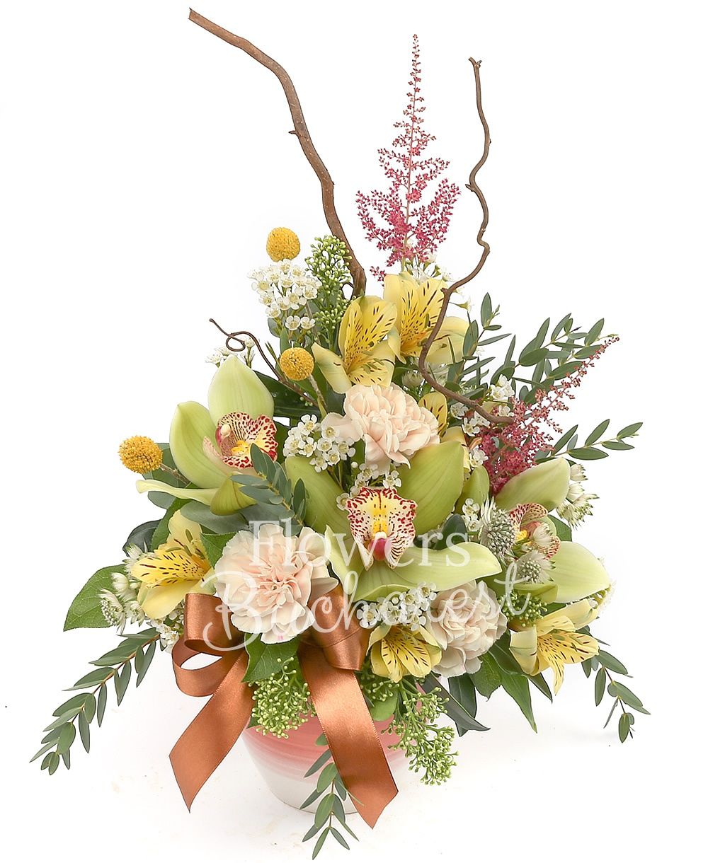 green cymbidium, 2 yellow alstroemeria, 3 cream carnations, 3 craspedia, 2 schimia, 2 white astranția, white waxflower, greenery