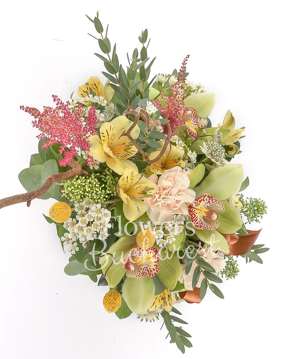 green cymbidium, 2 yellow alstroemeria, 3 cream carnations, 3 craspedia, 2 schimia, 2 white astranția, white waxflower, greenery