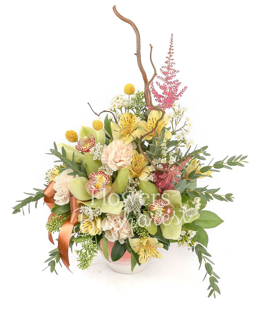 green cymbidium, 2 yellow alstroemeria, 3 cream carnations, 3 craspedia, 2 schimia, 2 white astranția, white waxflower, greenery