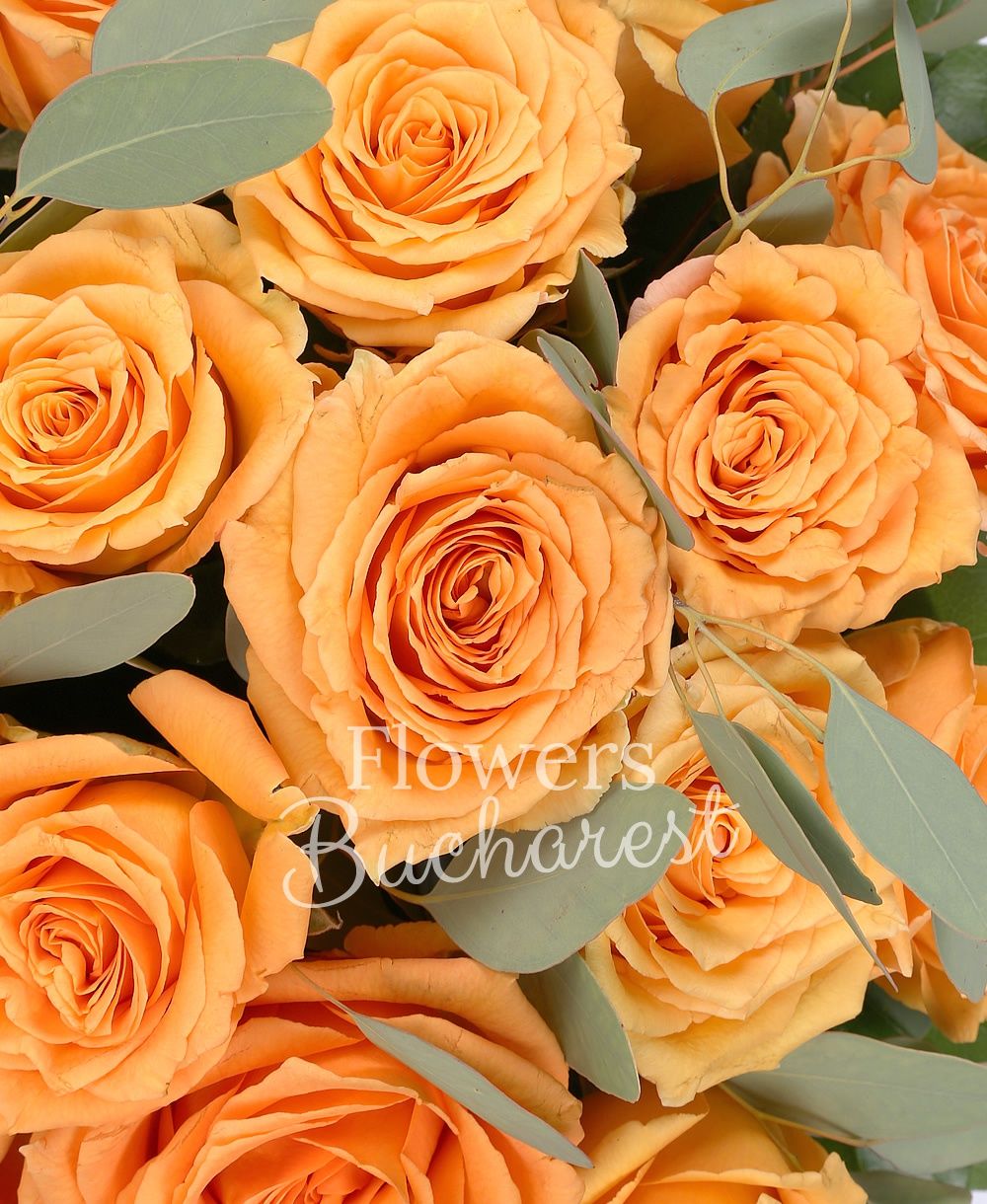 29 orange roses, greenery