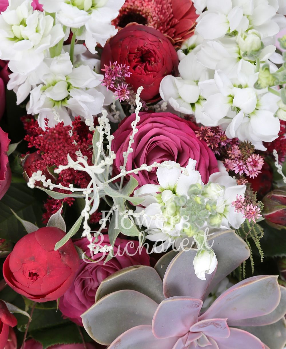 7 purple roses, 5 cyclam miniroses, 3 garnet gerbera, 5 white tulips, 5 white matthiola, 5 white anemone, 5 garnet astilbe, 2 succulents, greenery