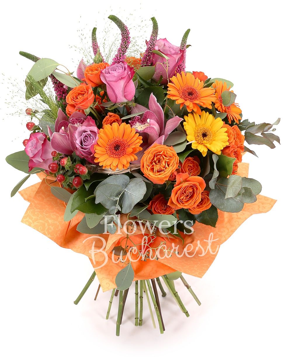 5 purple roses, 5 purple miniroses, 5 pink veronica, 7 orange gerberas, 3 pink cymbidium, 2 red hypericum, 1 panicum, greenery