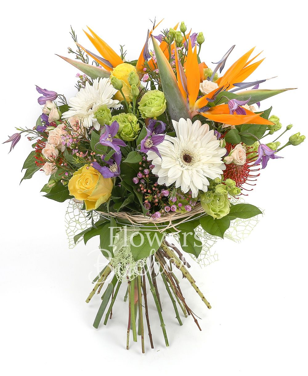 3 strelitzia, 5 clematis, 3 green lisianthus, 3 cream miniroses, 2 white gerbera, 2 leucospermum, 3 yellow roses, waxflower, greenery