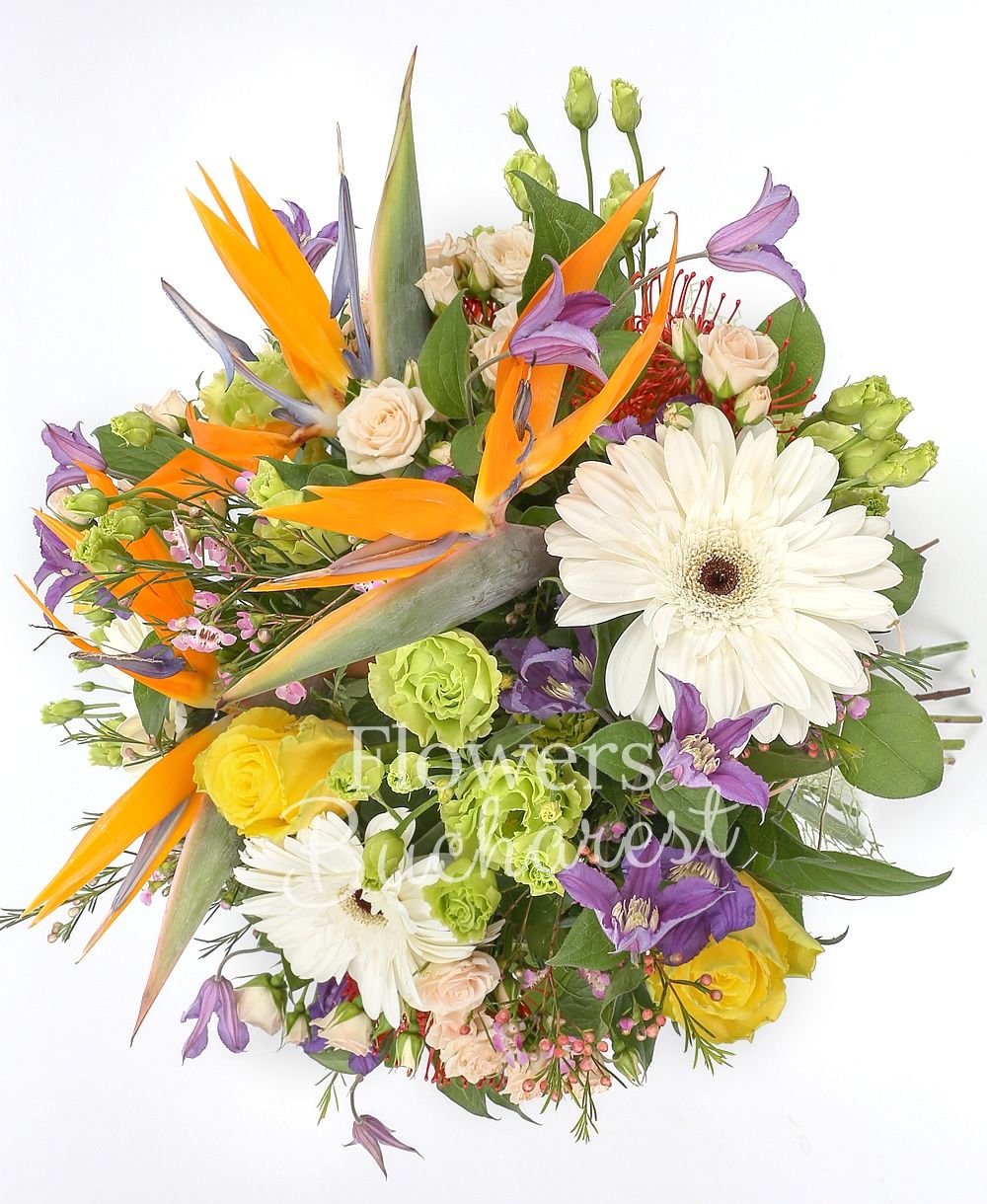 3 strelitzia, 5 clematis, 3 green lisianthus, 3 cream miniroses, 2 white gerbera, 2 leucospermum, 3 yellow roses, waxflower, greenery