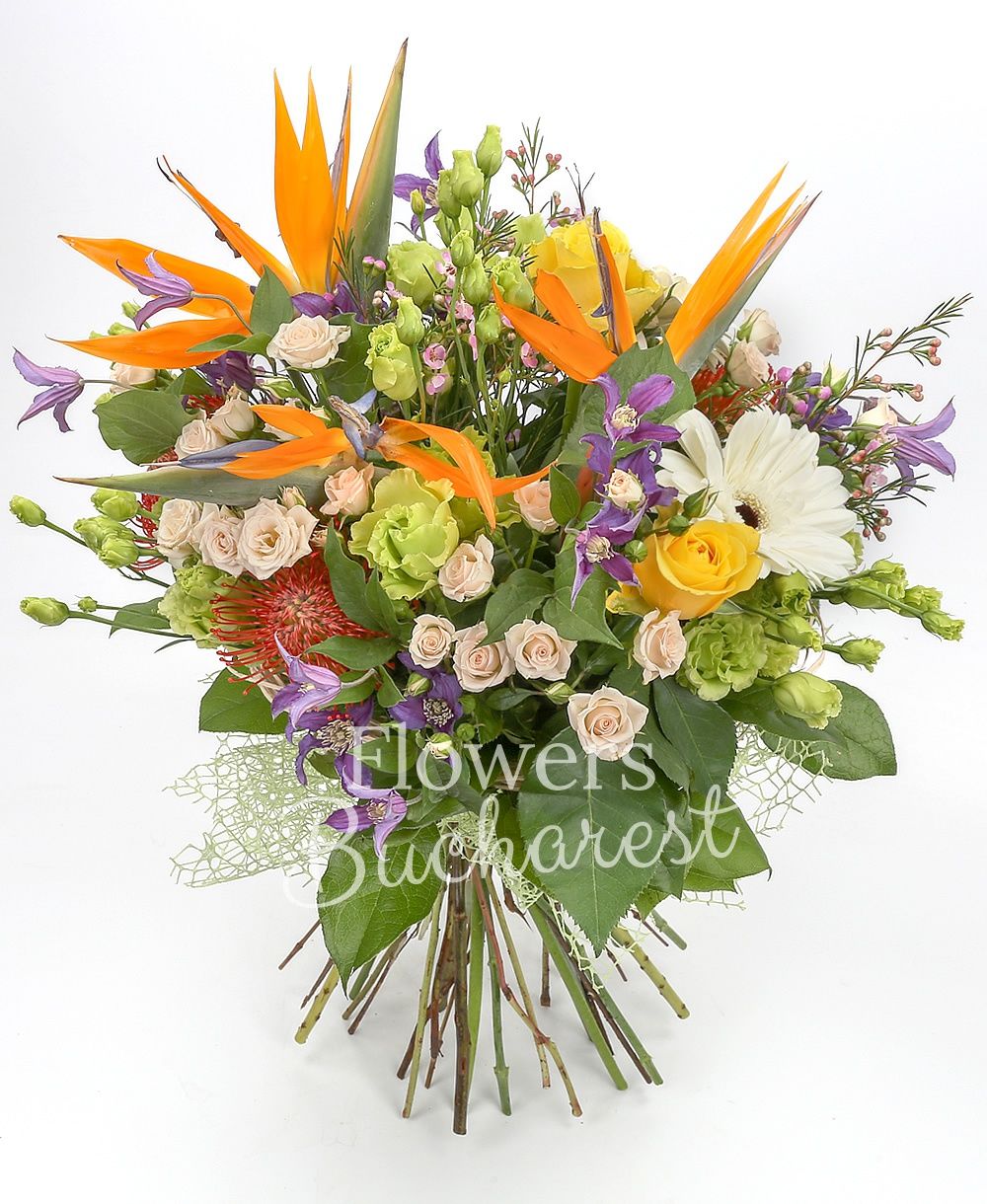 3 strelitzia, 5 clematis, 3 green lisianthus, 3 cream miniroses, 2 white gerbera, 2 leucospermum, 3 yellow roses, waxflower, greenery