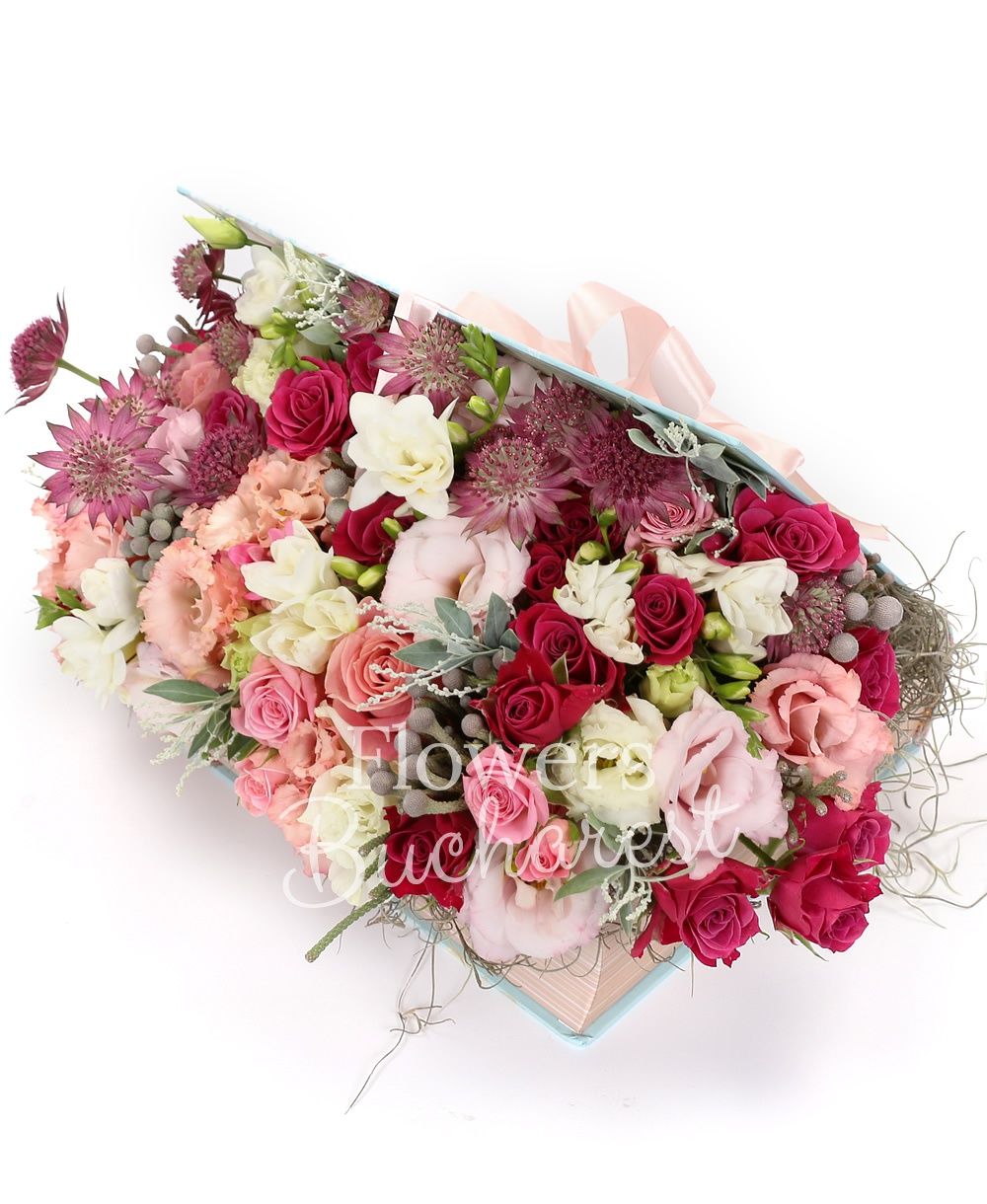 5 white freesias, 3 cyclam miniroses, 5 brunia, 2 pink lisianthus, 3 astranția, 3 pink miniroses, acacia