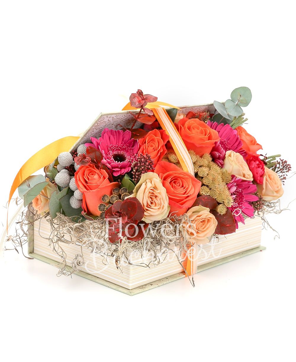 5 orange roses, 3 cyclam gerberas, 2 cream miniroses, 1 gerbera, brunia, schimia, greenery