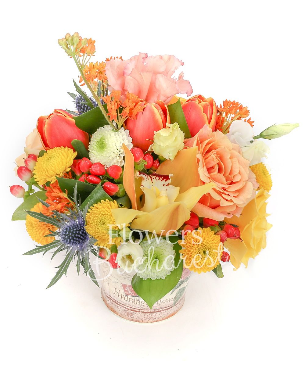 3 cream roses, 4 red tulips, 2 asclepias, 1 santini, 1 hypericum, 1 eryngium, yellow cymbidium, 2 lisianthus, greenery