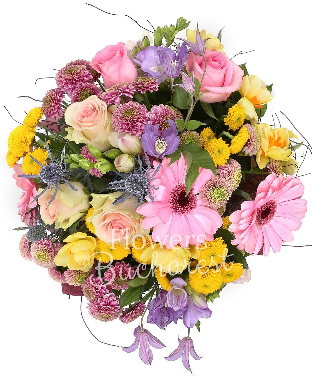 5 pink roses, 5 mauve santini, 5 yellow santini, 3 pink gerbera, 2 eryngium, 5 mauve freesias, 10 yellow daffodils, 3 mauve clematis, greenery