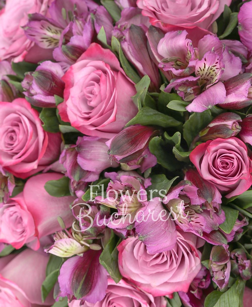 20 pink alstroemeria, 15 purple roses