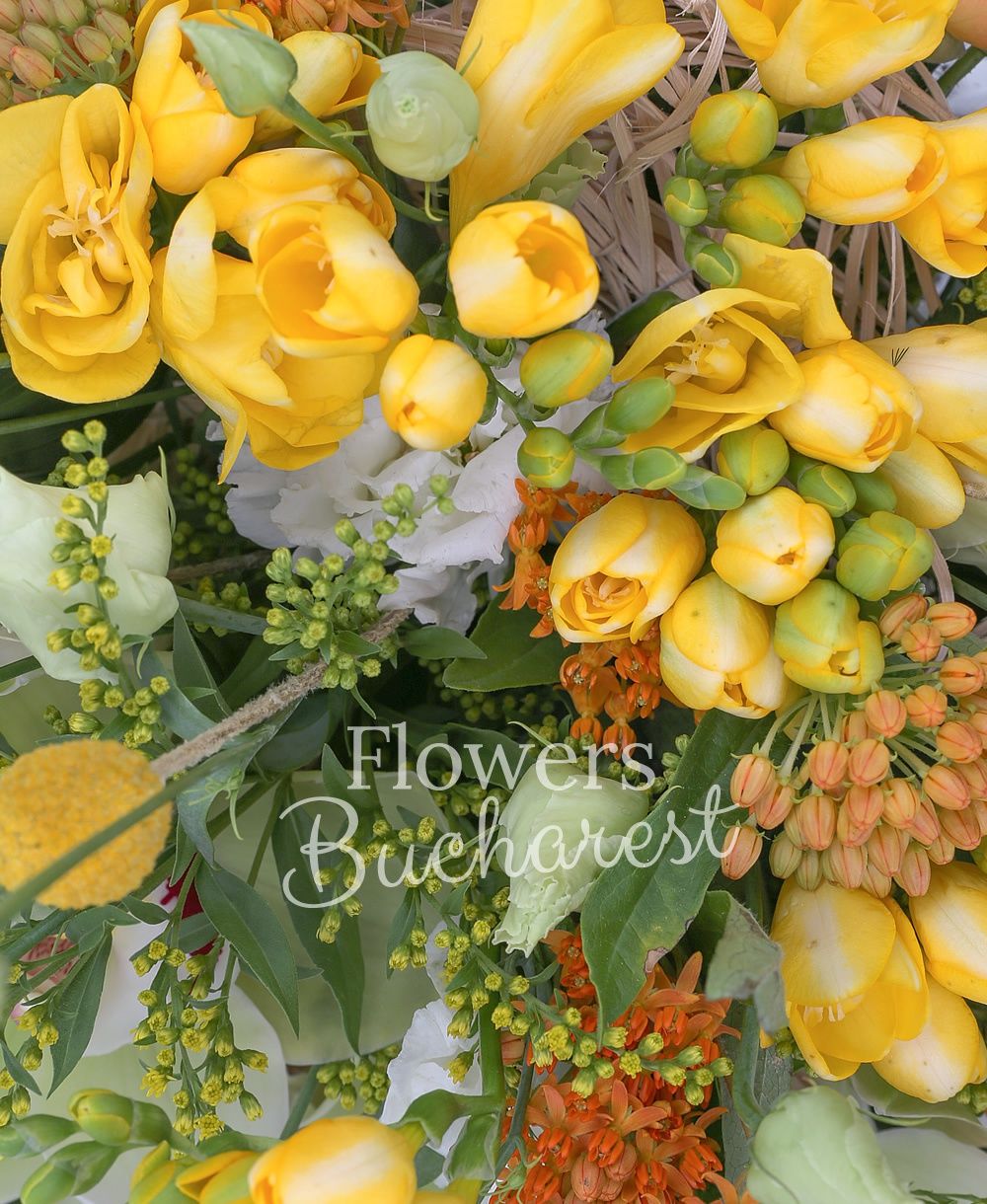 3 cream lisianthus, 10 yellow freesias, 3 orange asclepias, 3 orange miniroses, green cymbidium, 2 solidago, 3 aspidistra, 3 craspedia, greenery