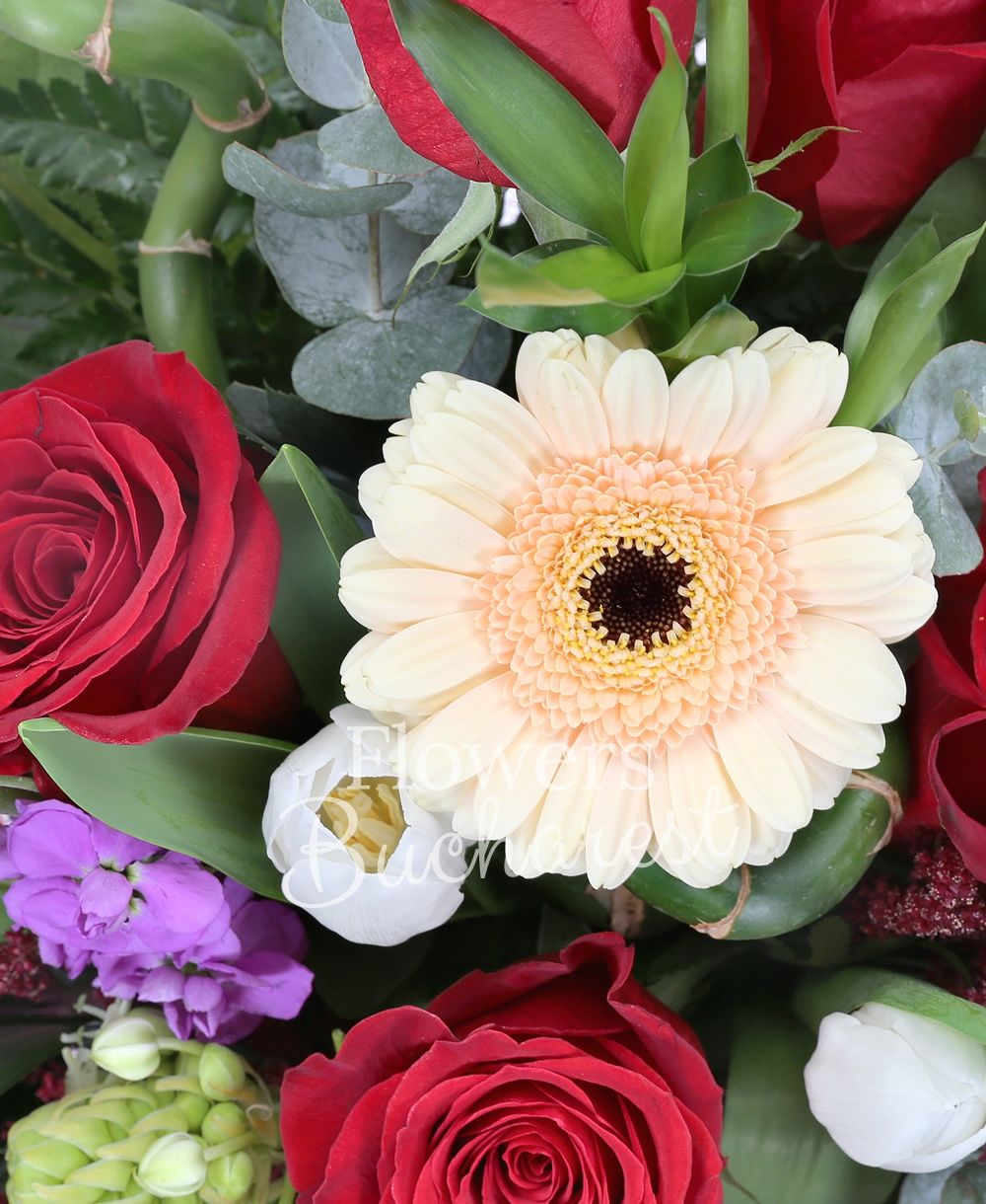 5 red roses, 3 mauve matthiola, 3 green bambus, 3 cream gerbera, 3 red astilbe, 2 ornithogalum, greenery