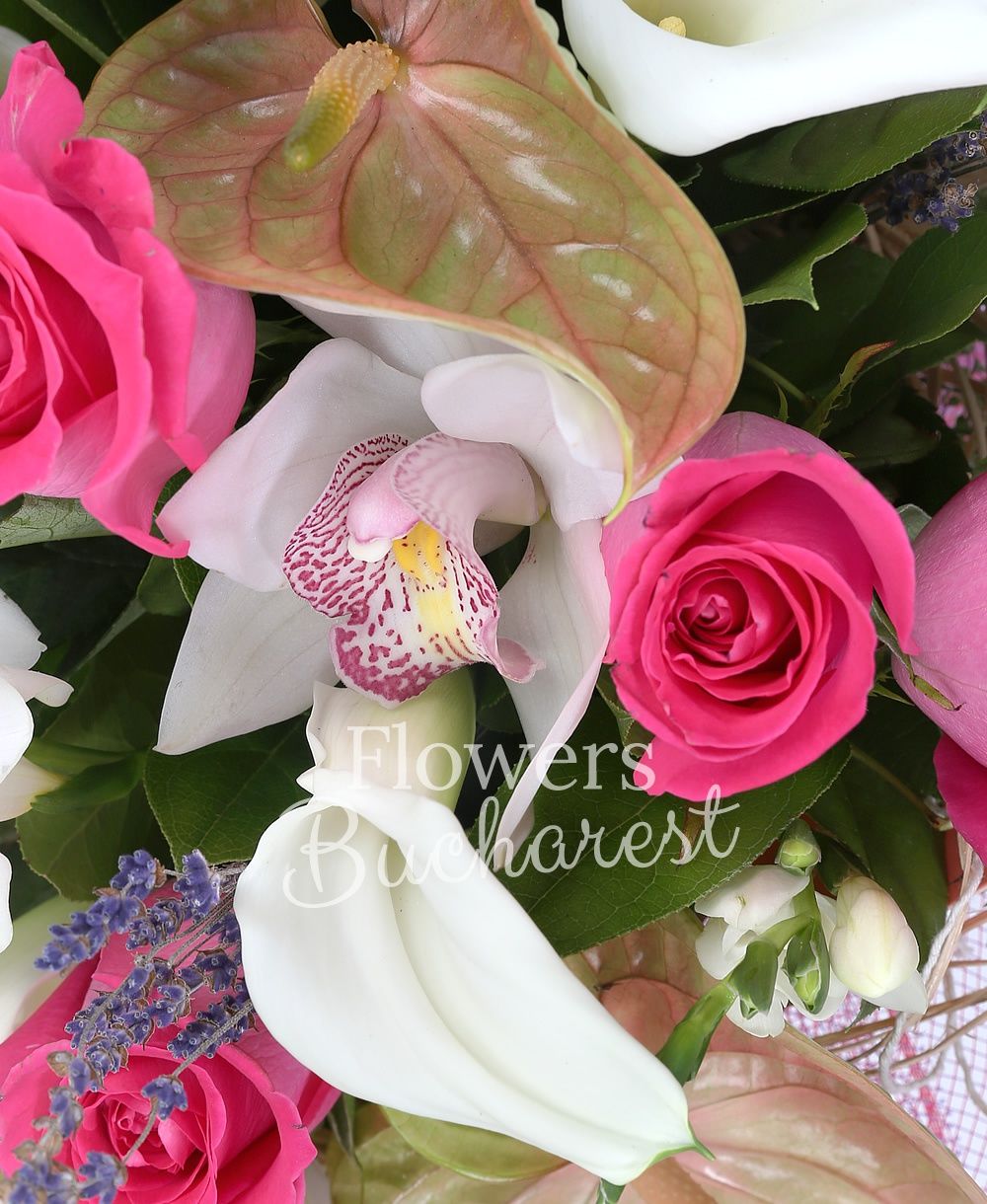 9 cyclam roses, 4 green anthurium, 5 white cala, 10 white freesias, white cymbidium, lavender, greenery