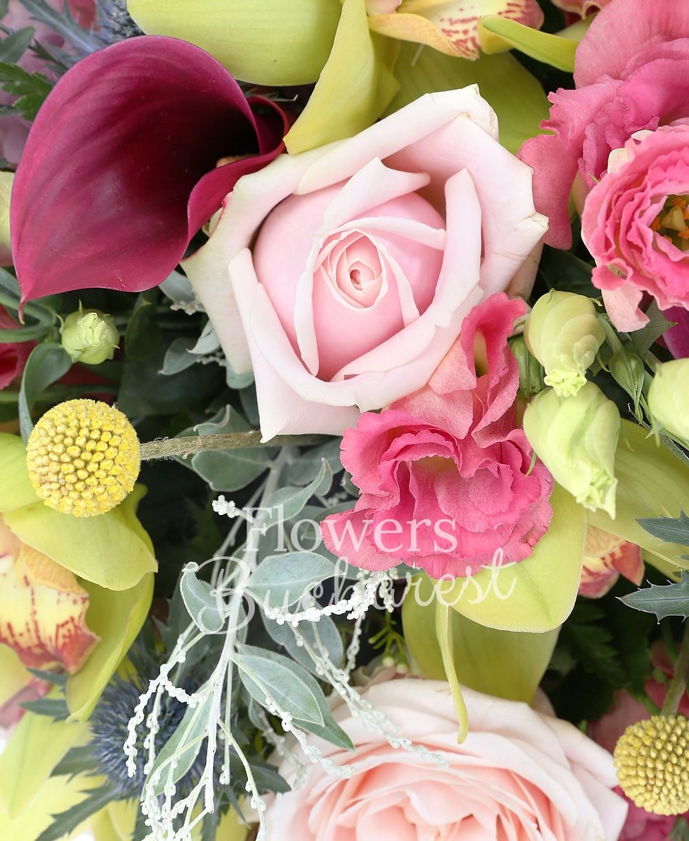 5 mauve cala, 5 yellow craspedia, 3 pink roses, 3 mauve roses, 5 pink lisianthus, 2 eryngium, green cymbidium, greenery