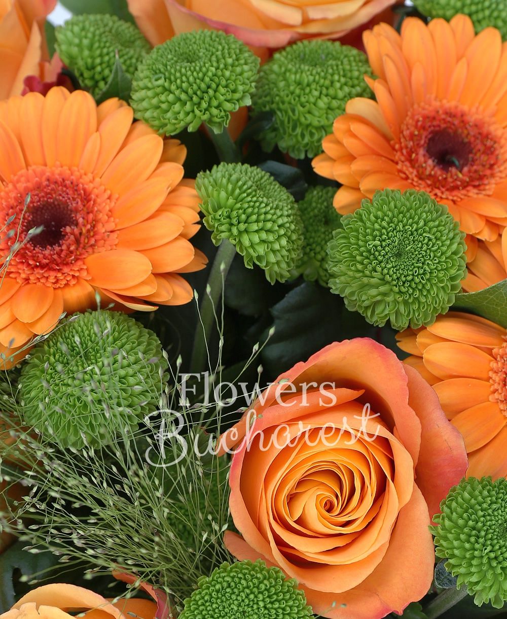 7 orange roses, 6 orange gerberas, 5 green solidago, greenery