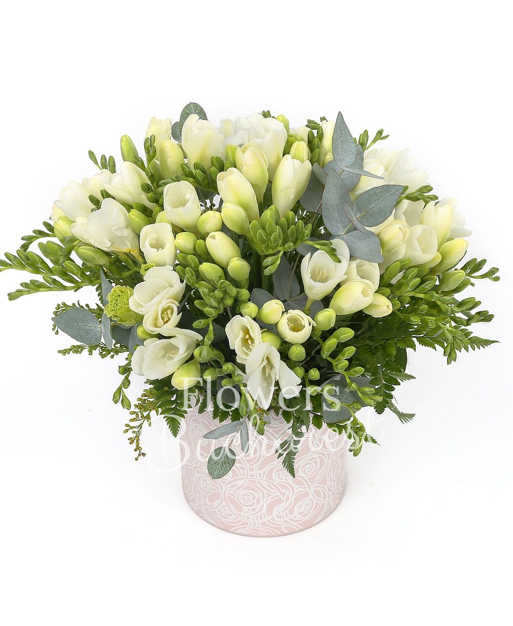 35 white freesias, greenery