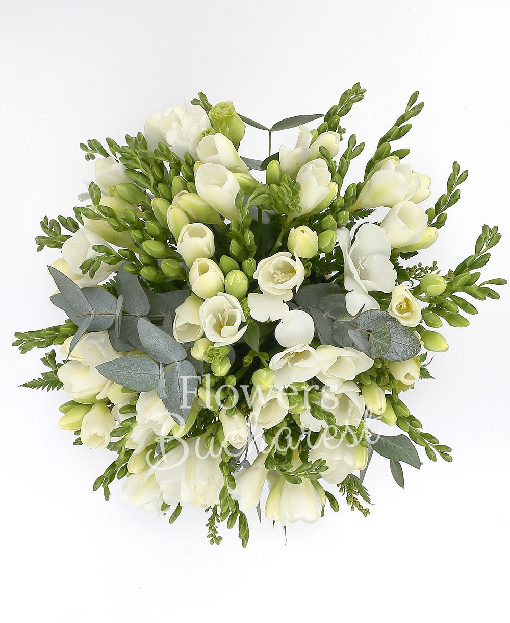 35 white freesias, greenery