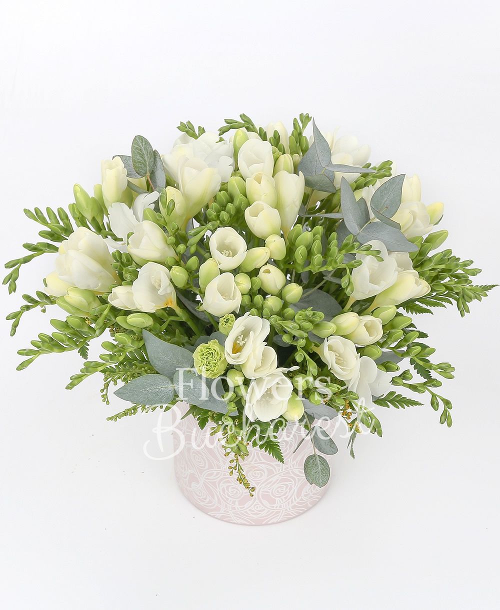 35 white freesias, greenery